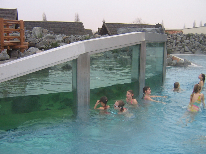 Spreewelten Bad Lübbenau - Schwimmen mit den Pinguinen